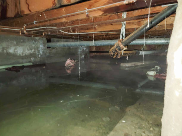 Best Emergency water extraction  in Jefferson Hills, PA