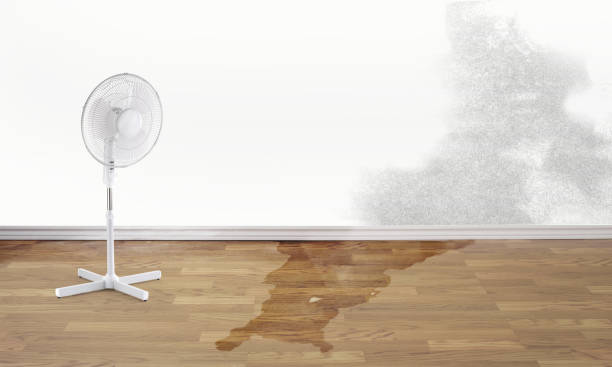 Best Carpet water damage restoration  in Jefferson Hills, PA