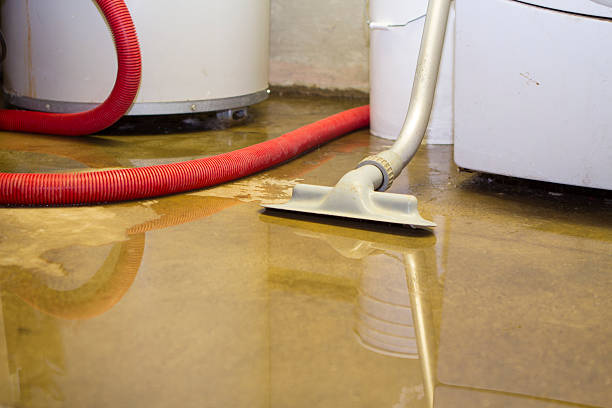 Best Basement water damage restoration  in Jefferson Hills, PA