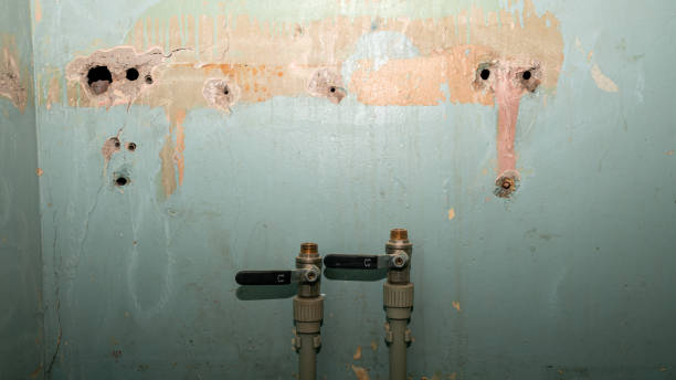 Best Water damage cleanup near me  in Jefferson Hills, PA